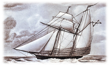 Ласточка (шхуна, 1838) — Википедия